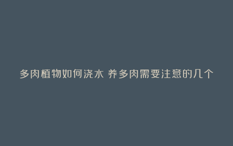 多肉植物如何浇水?养多肉需要注意的几个点,分享给你