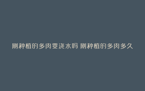 刚种植的多肉要浇水吗?刚种植的多肉多久后浇一次水