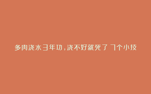 多肉浇水3年功,浇不好就死了!7个小技巧教你!