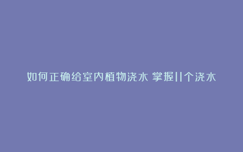 如何正确给室内植物浇水?掌握11个浇水技巧,你也能变成园艺高手