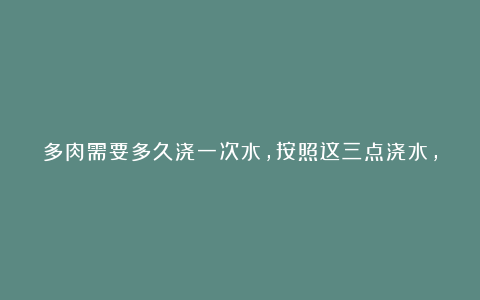 多肉需要多久浇一次水,按照这三点浇水,小白也能养好多肉