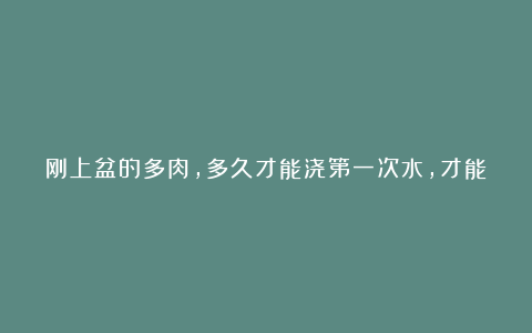 刚上盆的多肉,多久才能浇第一次水,才能正常养护呢?