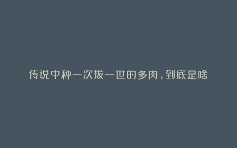 传说中种一次拔一世的多肉,到底是啥?