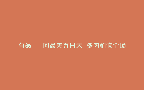 有品 | 無同最美五月天 多肉植物全场 8 折
