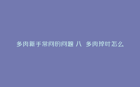 多肉新手常问的问题(八):多肉掉叶怎么办?全颗粒可以养多肉吗?