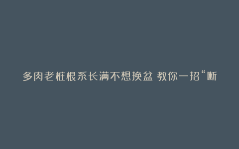 多肉老桩根系长满不想换盆?教你一招“断根法”,两个月长满新根