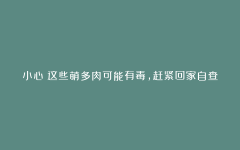 小心!这些萌多肉可能有毒,赶紧回家自查!