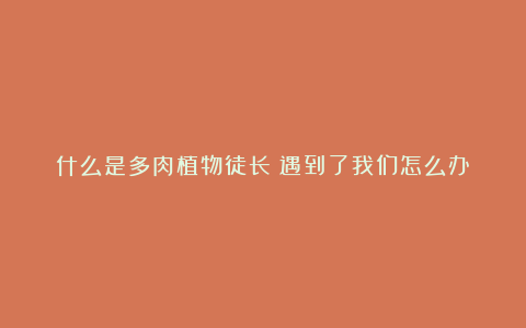 什么是多肉植物徒长?遇到了我们怎么办?