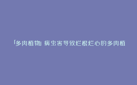 「多肉植物」病虫害导致烂根烂心的多肉植物怎么办,如何拯救?