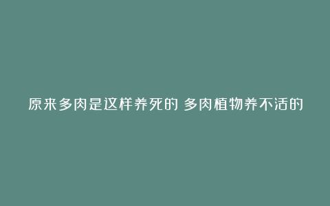 原来多肉是这样养死的!多肉植物养不活的10个小秘密