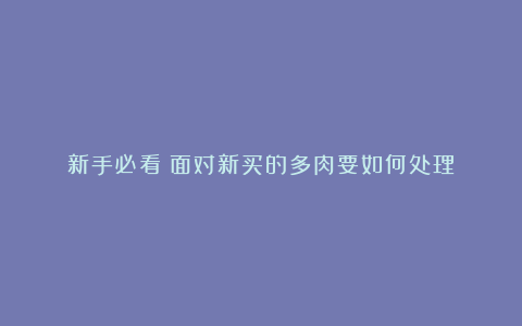 新手必看|面对新买的多肉要如何处理?
