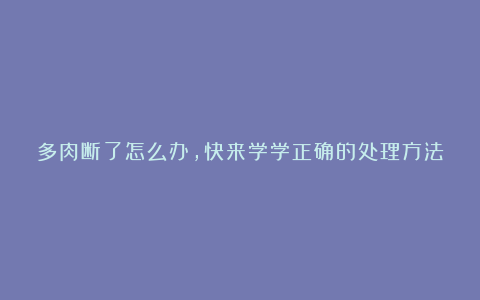 多肉断了怎么办,快来学学正确的处理方法