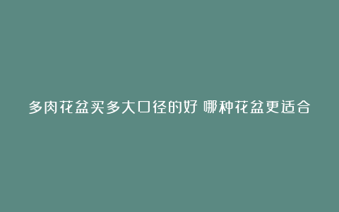 多肉花盆买多大口径的好?哪种花盆更适合种植多肉
