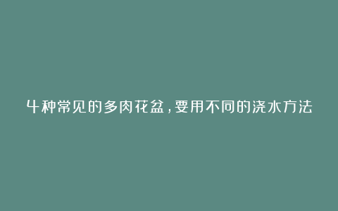 4种常见的多肉花盆,要用不同的浇水方法,才能养好多肉
