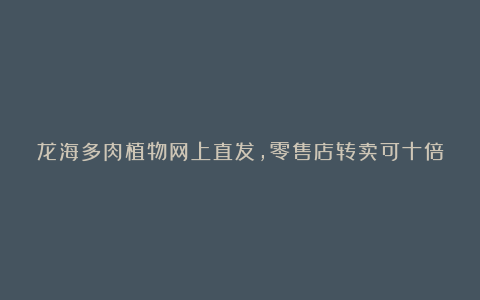 龙海多肉植物网上直发,零售店转卖可十倍获利