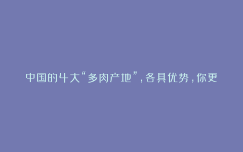 中国的4大“多肉产地”,各具优势,你更喜欢哪里的多肉?