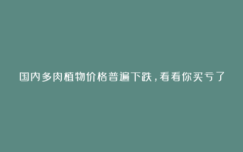 国内多肉植物价格普遍下跌,看看你买亏了没