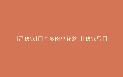 12块钱10个多肉小花盆,11块钱50个鞋子防潮收纳袋~