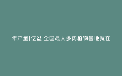 年产量1亿盆!全国最大多肉植物基地就在济南