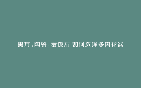 黑方,陶瓷,麦饭石?如何选择多肉花盆
