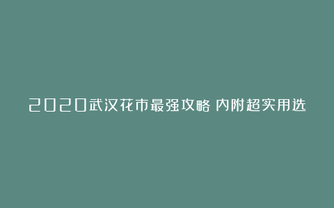 2020武汉花市最强攻略丨内附超实用选购小妙招,带娃赏逛买走起!