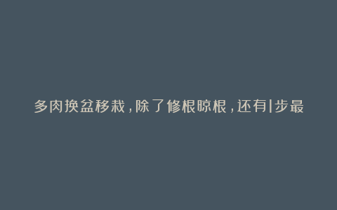 多肉换盆移栽,除了修根晾根,还有1步最关键,后期养好全靠它