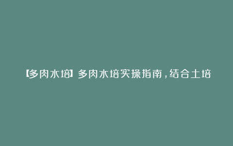 【多肉水培】多肉水培实操指南,结合土培出状态