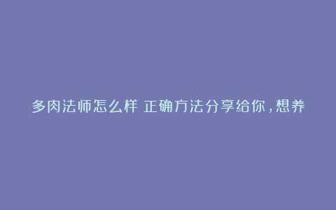 多肉法师怎么样?正确方法分享给你,想养好法师赶紧收藏