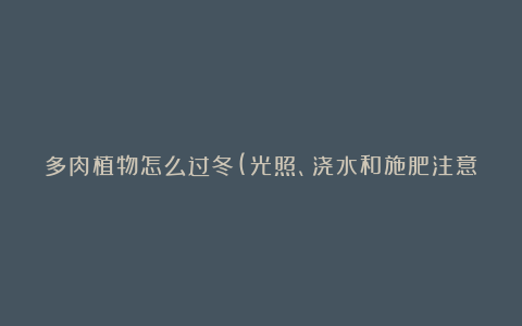 多肉植物怎么过冬(光照、浇水和施肥注意事项)