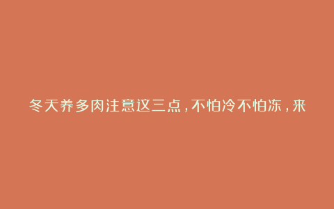 冬天养多肉注意这三点,不怕冷不怕冻,来年长得贼起劲!