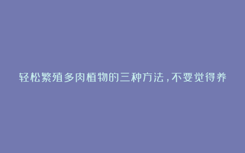 轻松繁殖多肉植物的三种方法,不要觉得养多肉有多难