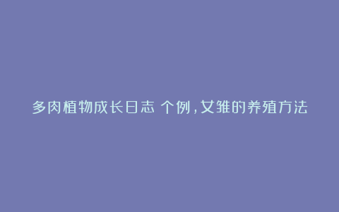 多肉植物成长日志:个例,女雏的养殖方法和注意事项