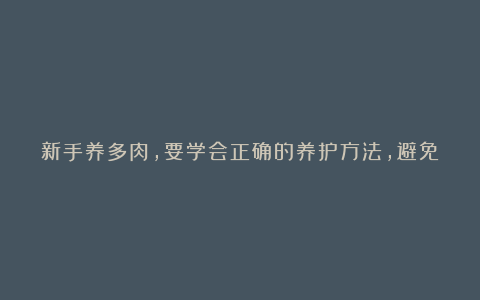新手养多肉,要学会正确的养护方法,避免不必要的损失