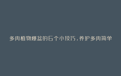多肉植物爆盆的6个小技巧,养护多肉简单实用,让肉肉越长越密!