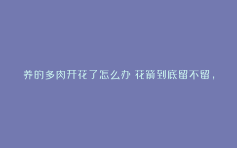 养的多肉开花了怎么办?花箭到底留不留,正确答案就在这里啦!
