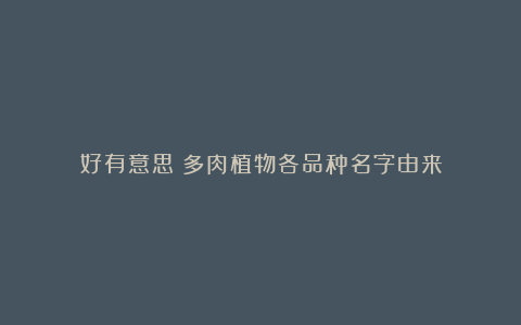 好有意思!多肉植物各品种名字由来