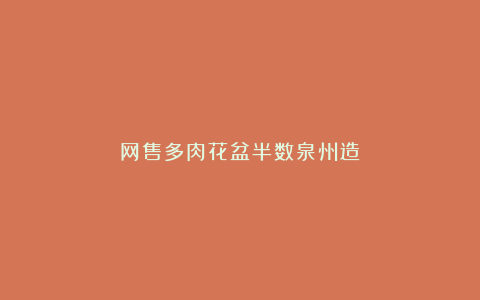网售多肉花盆半数泉州造
