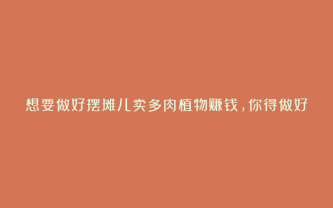 想要做好摆摊儿卖多肉植物赚钱,你得做好这几项准备