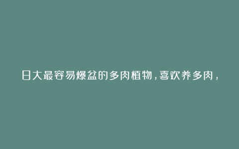 8大最容易爆盆的多肉植物,喜欢养多肉,家里肯定有几盆!