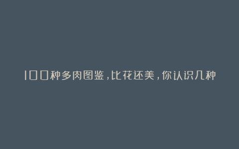 100种多肉图鉴,比花还美,你认识几种?