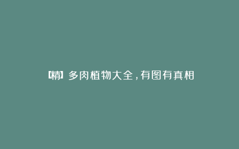 【精】多肉植物大全,有图有真相!
