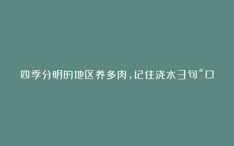 四季分明的地区养多肉,记住浇水3句“口诀”,根壮叶肥状态美