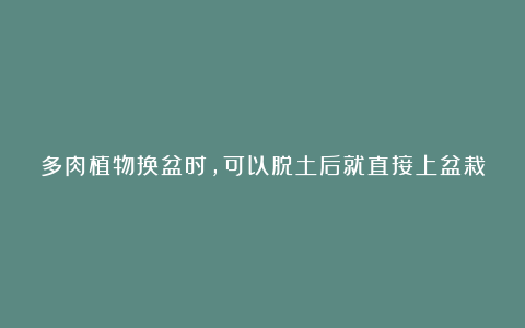多肉植物换盆时,可以脱土后就直接上盆栽种吗?