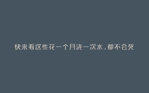 快来看这些花一个月浇一次水,都不会死!