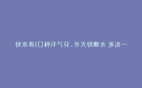 快来看10种洋气花,冬天快断水!多浇一瓢水,就能要了命