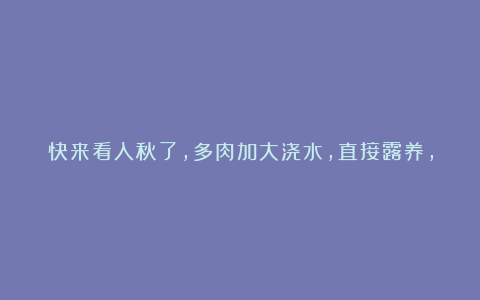快来看入秋了,多肉加大浇水,直接露养,长得快,容易出状态