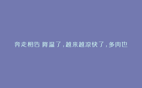 奔走相告降温了,越来越凉快了,多肉也该浇水了,补充水分,加快生长