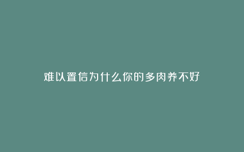 难以置信为什么你的多肉养不好?