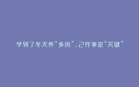 学到了冬天养“多肉”,2件事是“关键”,做对了,颜色美,肥嘟嘟