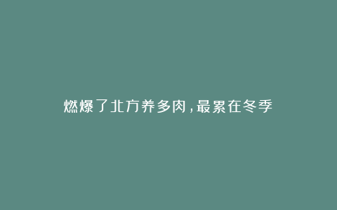 燃爆了北方养多肉,最累在冬季?
